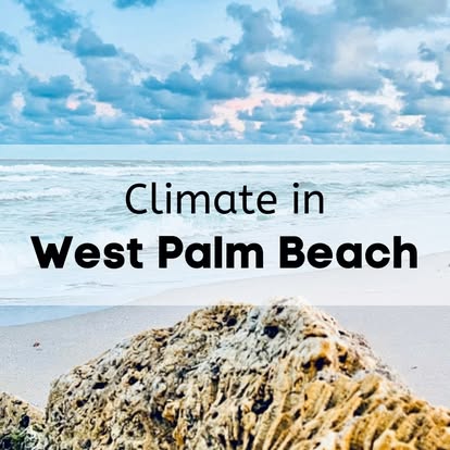 Meehan's Family Moving image 2