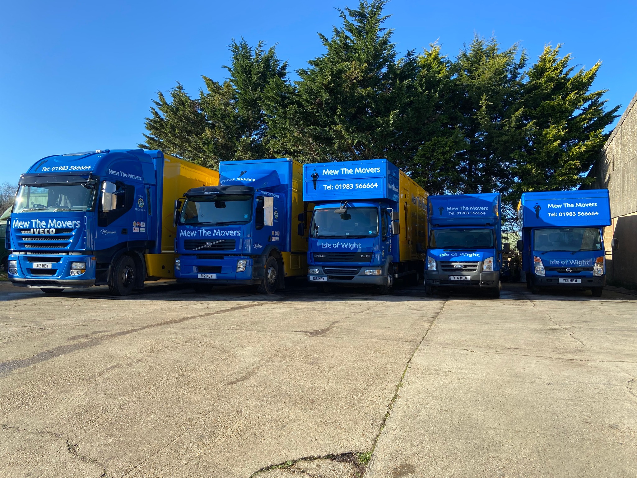 Mew The Movers image 1