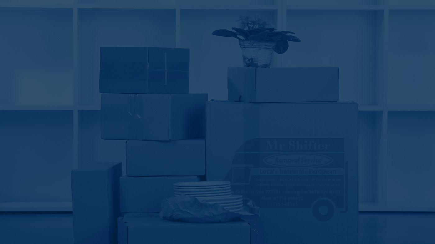 Mr Shifter logo