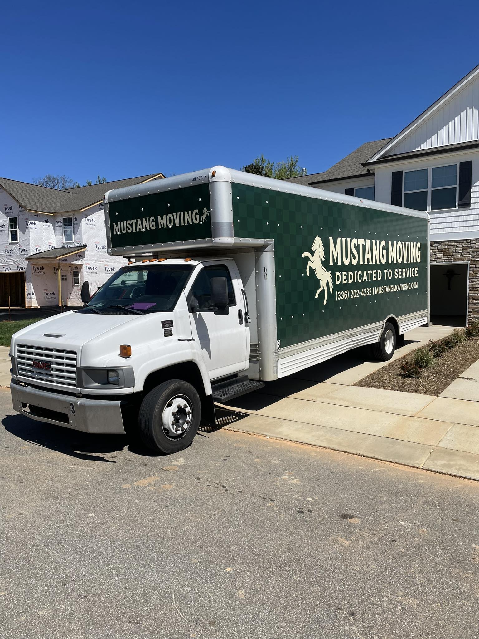 Mustang Moving image 2