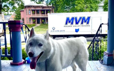 MVM Moving & Storage image 2