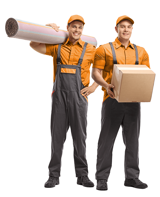 M.W.V. REMOVALS. logo