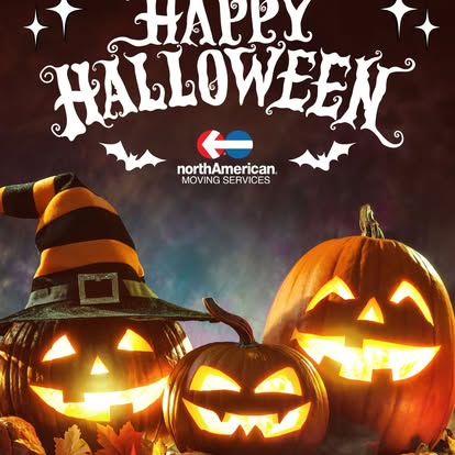 North American Van Lines image 2