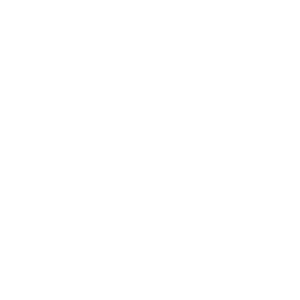 Northland Maxi-Vaults logo