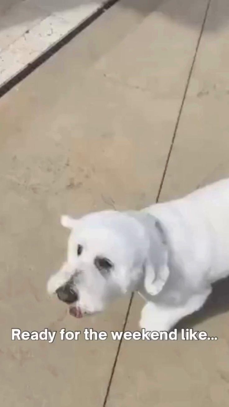 NorthStar Moving Company image 4