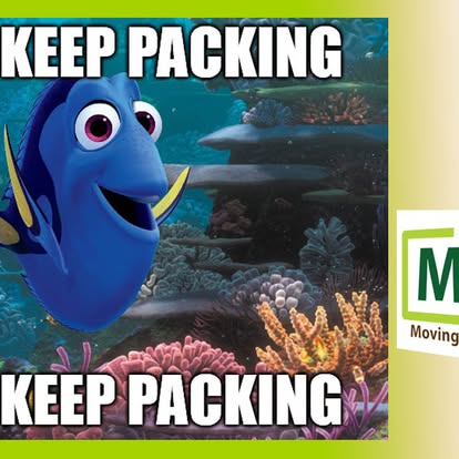 On the Move: Moving and Storage image 4