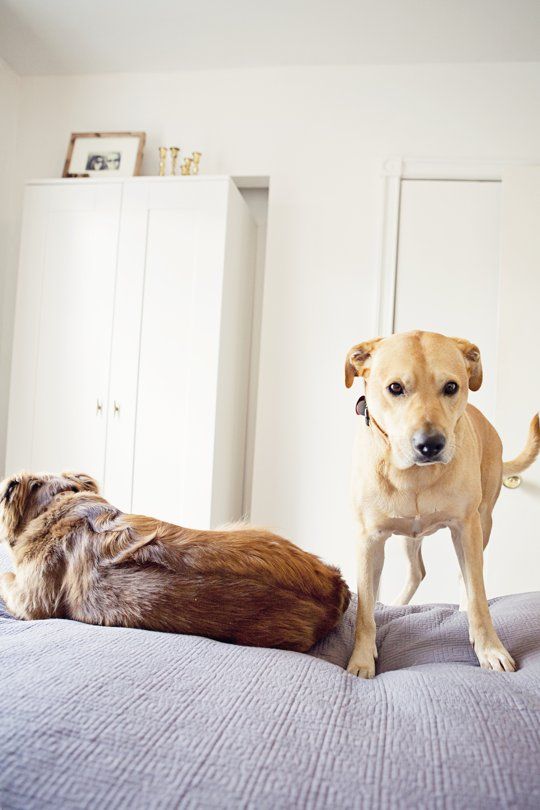 One Stop Moving & Storage logo