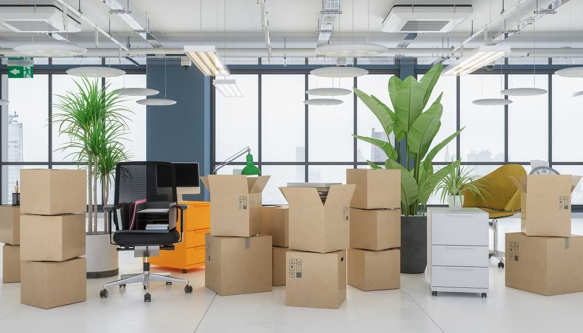 Pack & Go Removals image 3