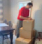 Palmetto Specialty Transfer logo