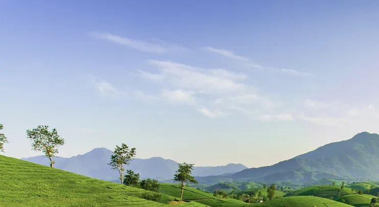 Perthshire Removals & Courier Services image 2