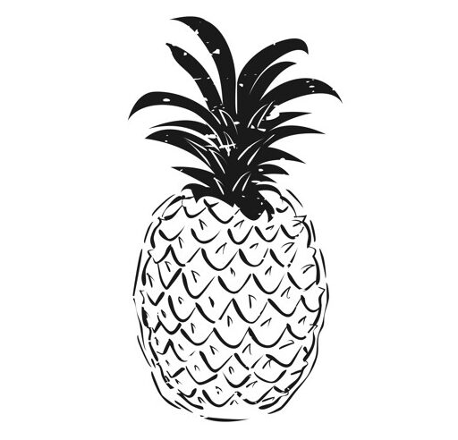 Pineapple Movers image 2