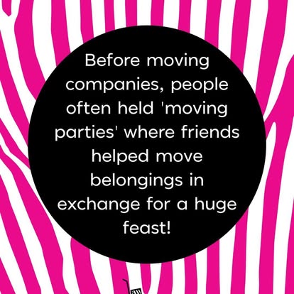 Pink Zebra Moving image 4