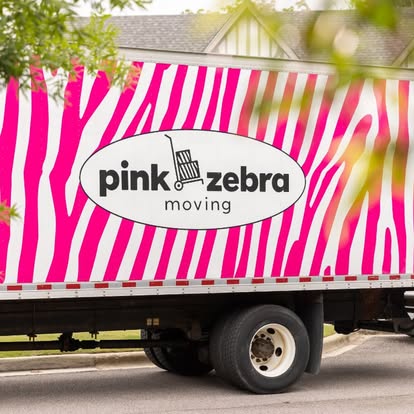Pink Zebra Moving image 1