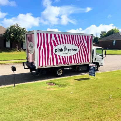 Pink Zebra Moving image 1