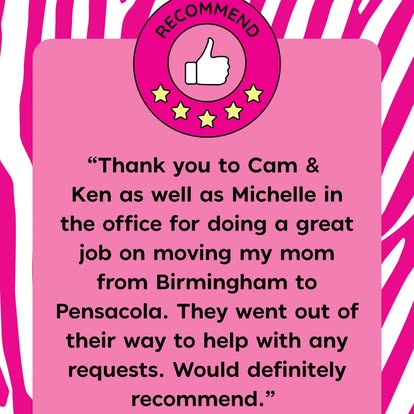 Pink Zebra Moving image 2