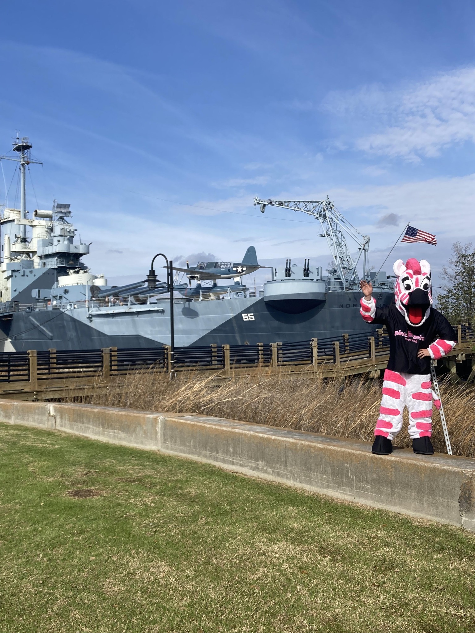 Pink Zebra Moving of Wilmington logo