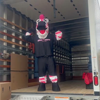 Pink Zebra Moving - Oklahoma City image 2