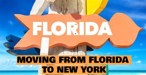 Pinnacle Van Lines image 4