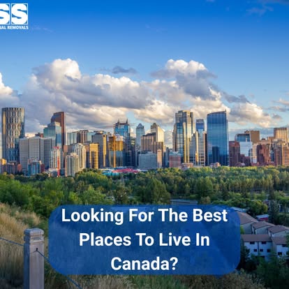 PSS International Removals image 2