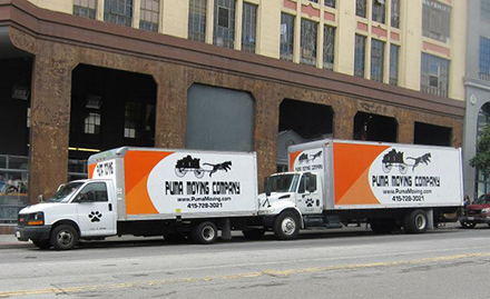 Puma Moving Company image 2