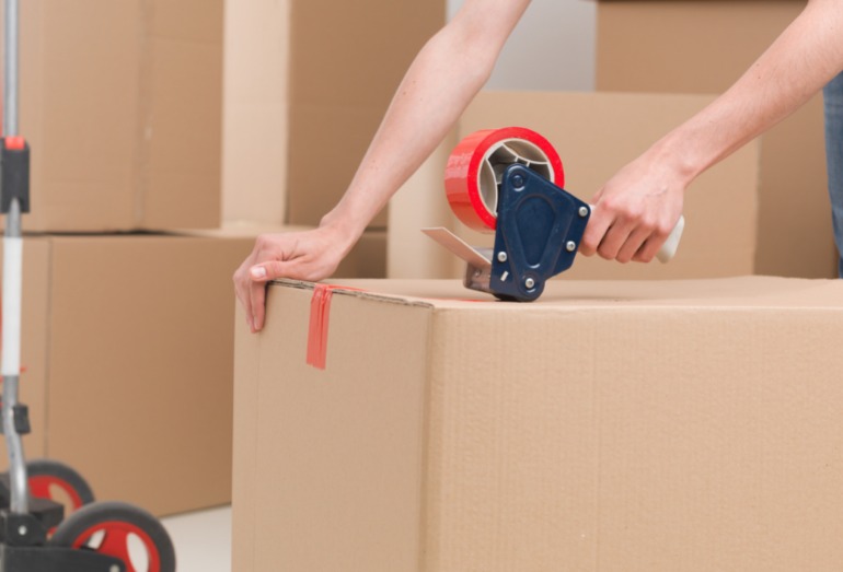 Rapid Removals Fareham logo