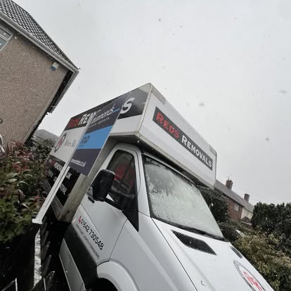 Reds Removals image 2