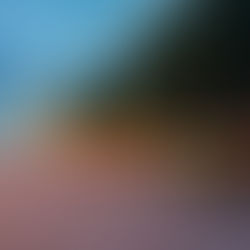 Saint Removals — Storage, Packing and Home Removal Company image 2