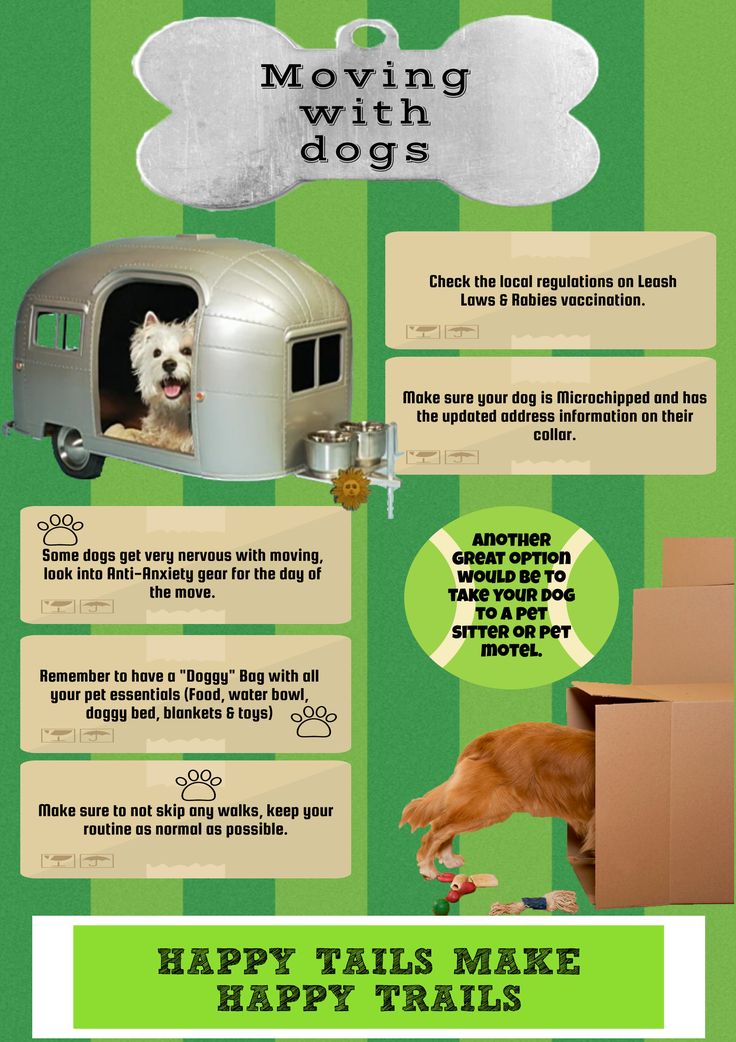 Sebastian Moving Atlanta image 2