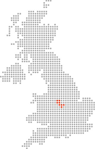 Shaw's Removals logo