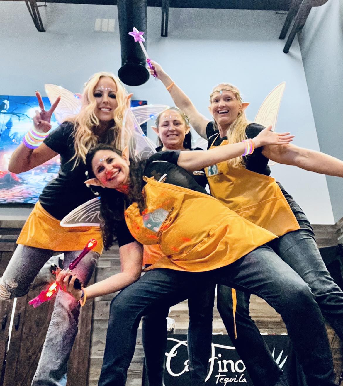 Silver Linings Transitions logo