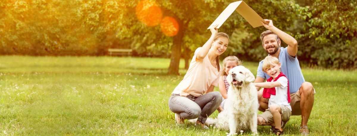 Simpsons International Removals Ltd logo