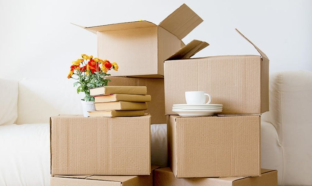 Spartan Van Lines Llc logo