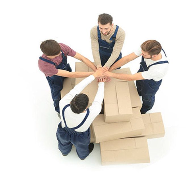 Springall Movers image 4