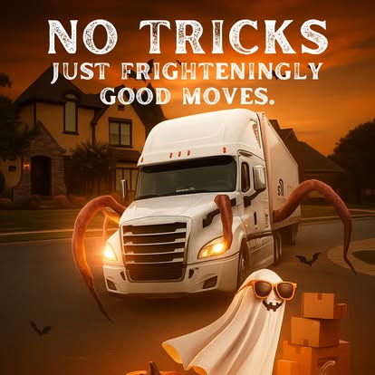 STI Moving & Storage Inc - Chicago Moving Company image 4