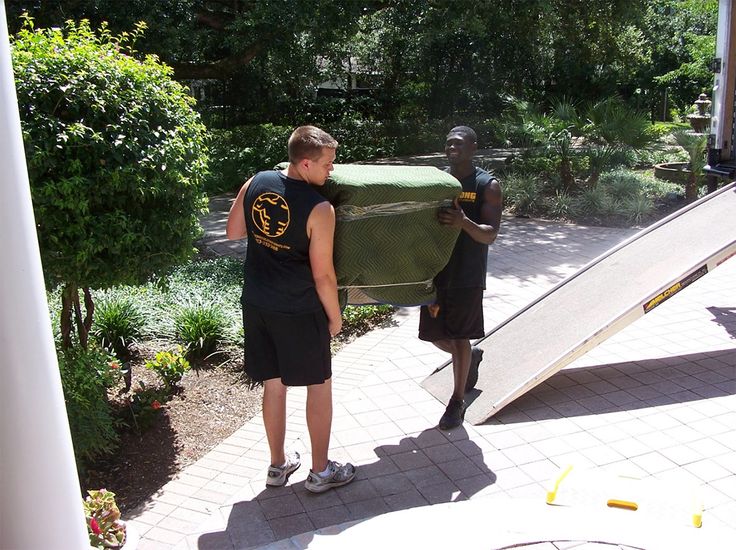 Strong College Students Moving of St. Petersburg image 3