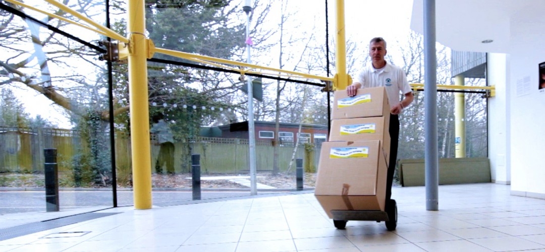 Student Move & Store image 2