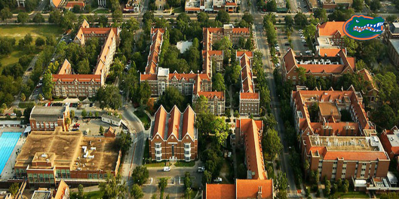 Sunbelt Moving image 3