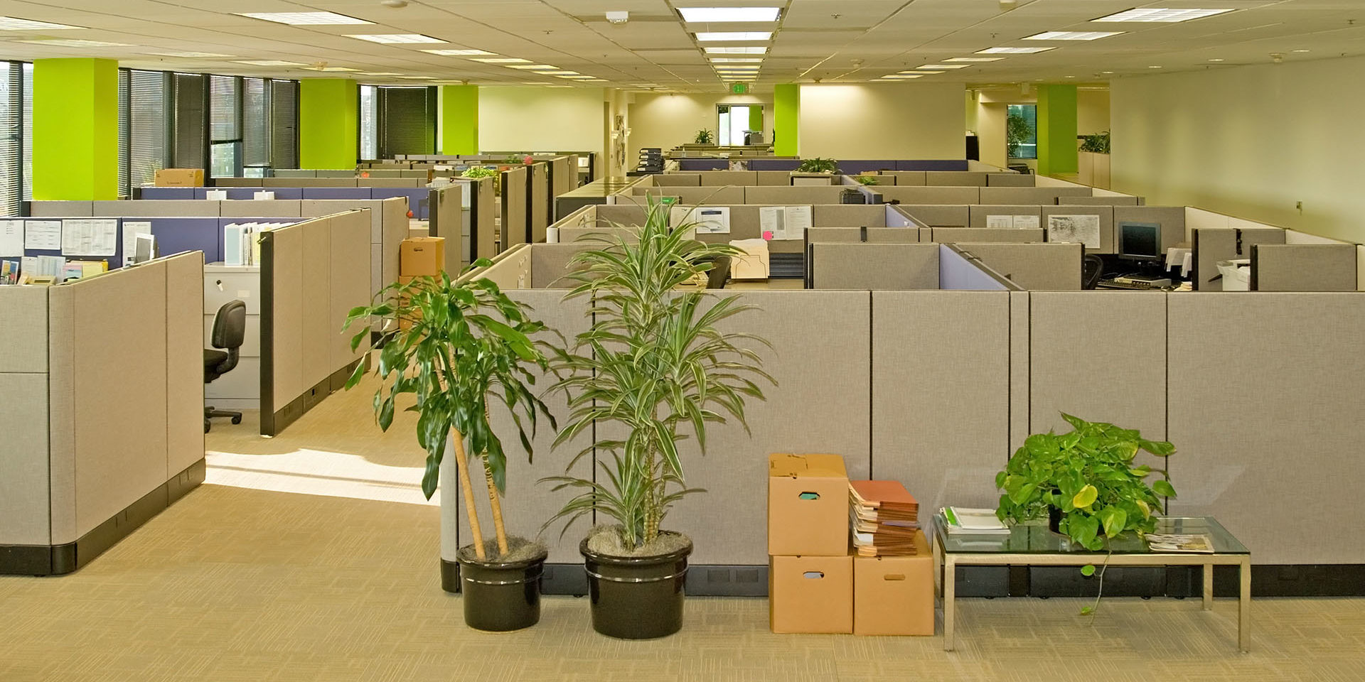 Sylvania | Perrysburg Moving & Packing image 4