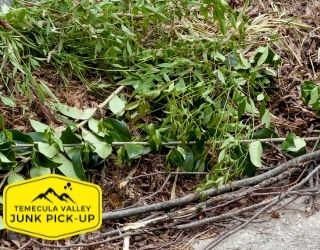 Temecula Valley Junk Pick-Up image 2