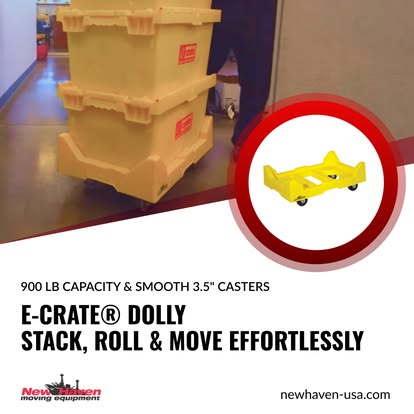 The New Haven Companies, Inc. image 4