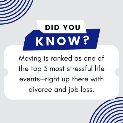 The Other Moving Company image 3