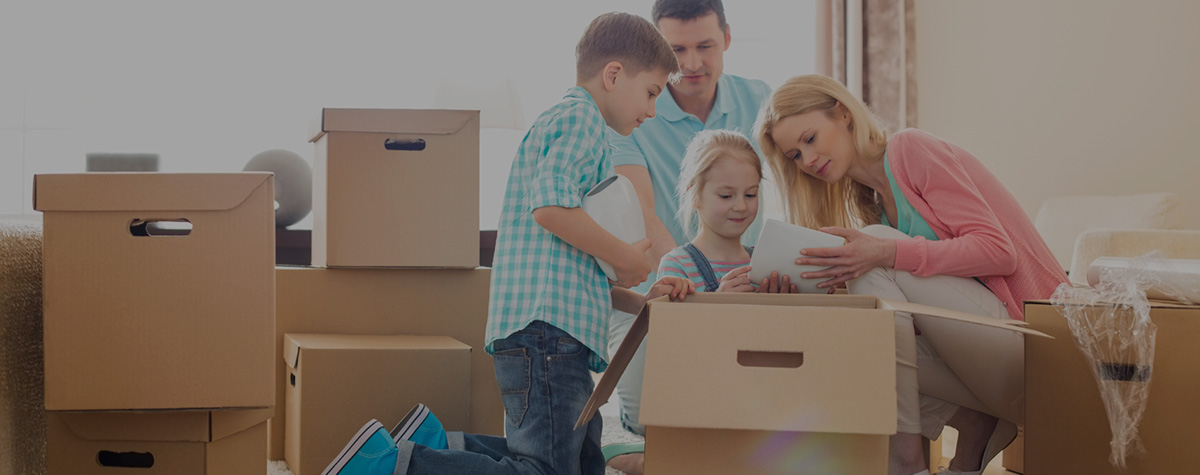 Tiger Moving | Movers Greenville SC image 1