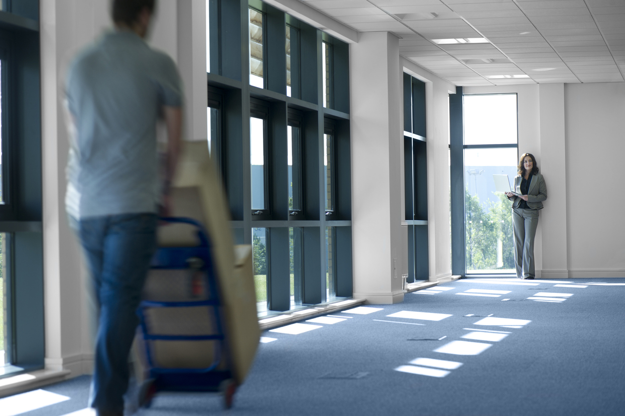 Tigers Removals and Storage image 4