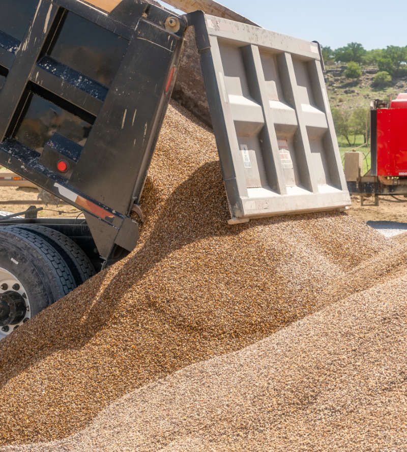 Twisted Nail Sand and Gravel logo