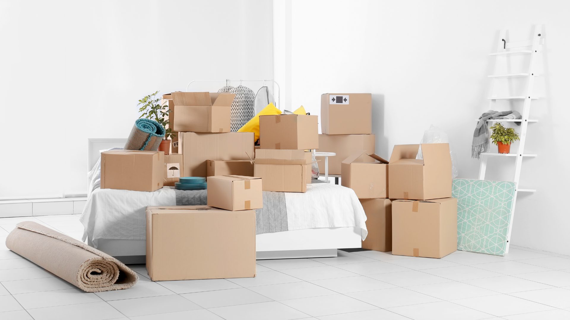 Vip House Movers Ltd logo