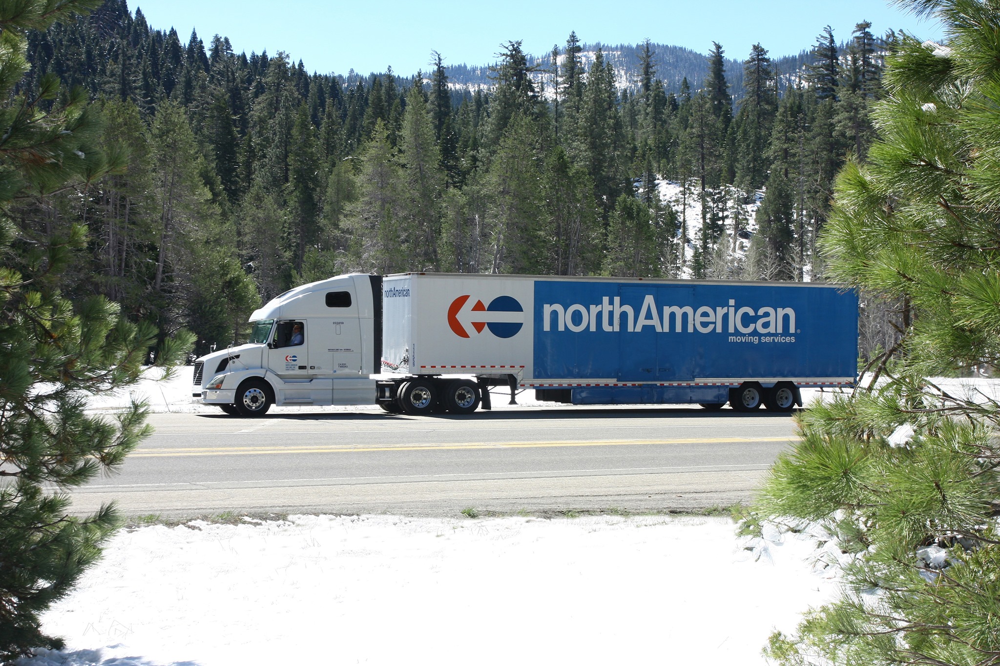 Virginia Moving and Storage logo