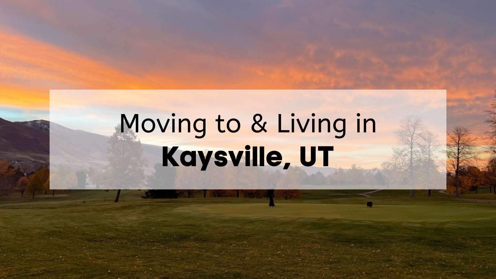 Wasatch Moving Company - Salt Lake City Movers logo