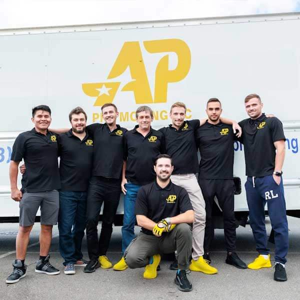 Washington Movers By AP Pro Moving LLC image 1