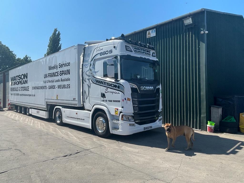 Watson European logo