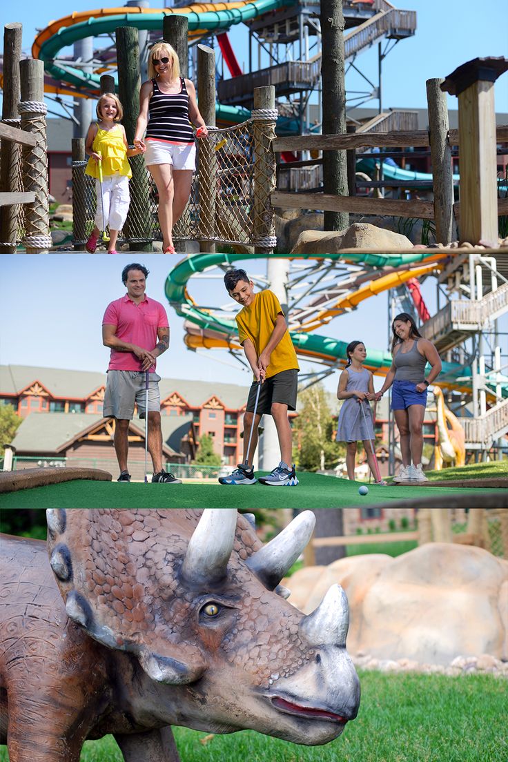 Wilderness Resort image 4